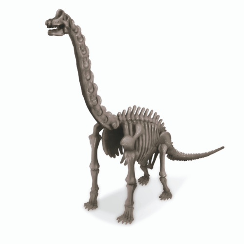 Kidz Labs - Déterre un Squelette de Dino-Brachiosaurus