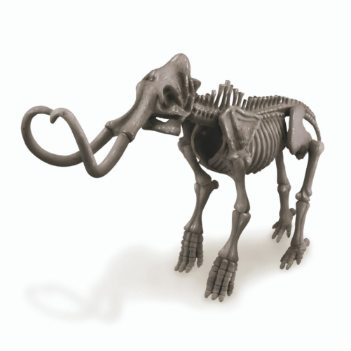 Kidz Labs - Déterre un Squelette de Dino-Mammouth