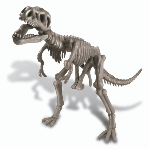 Kidz Labs - Déterre un Squelette de Dino-Tyrannosaurus Rex