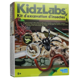 Kit d'excavation d'insectes