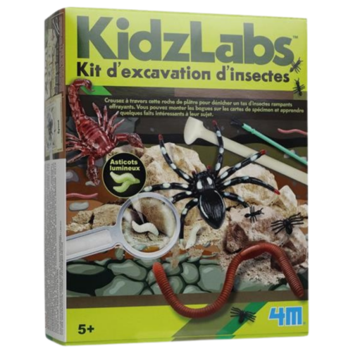 Kit d'excavation d'insectes