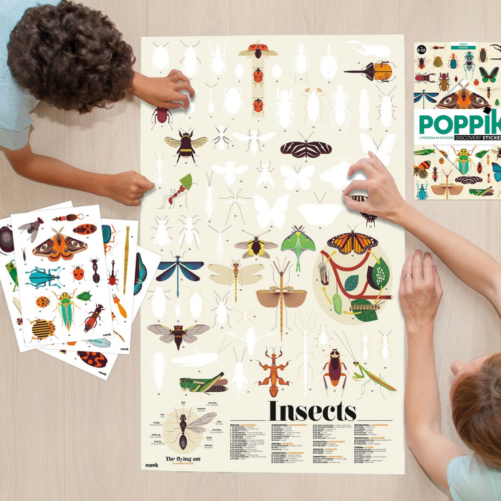 Poster Pédagogique - Insectes